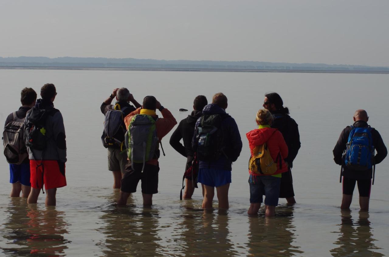 Charmante Maison De Pecheur En Baie Du Mont Saint Michel Genêts Zewnętrze zdjęcie