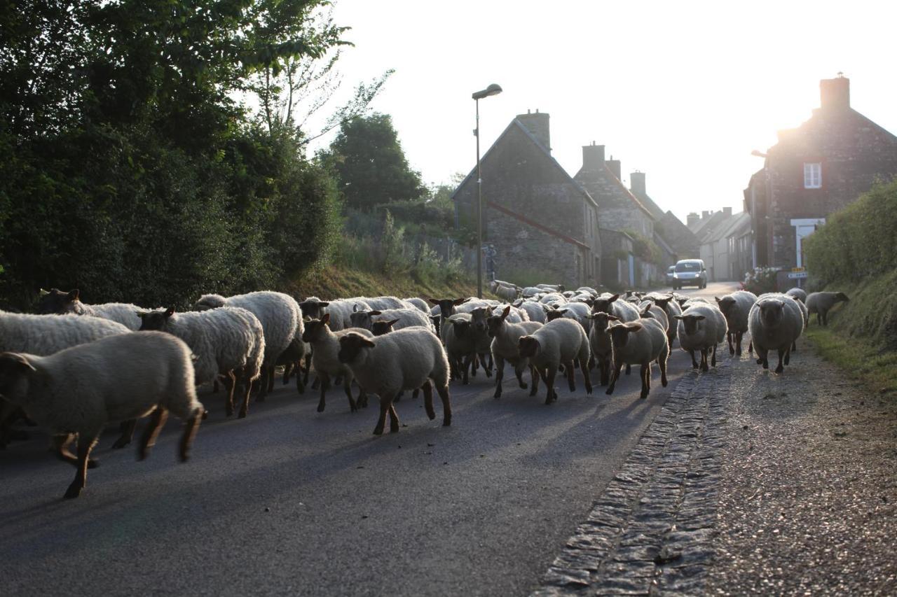 Charmante Maison De Pecheur En Baie Du Mont Saint Michel Genêts Zewnętrze zdjęcie